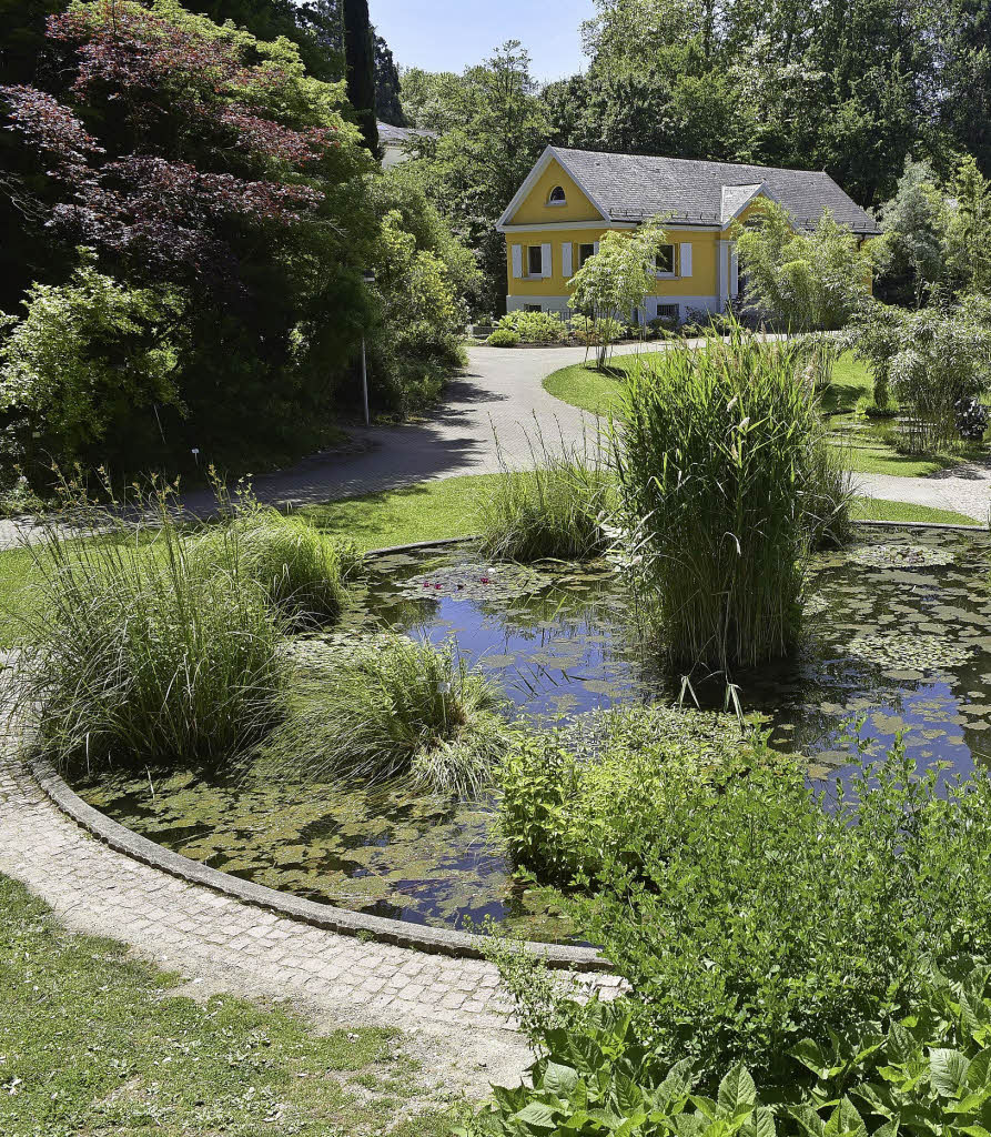 Im Botanischen Garten gibt's Veranstaltungen zur "Woche der Botanischen