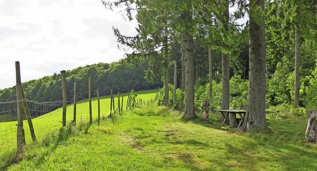 Dieser Weg soll so hergerichtet werden...t vorlufig erst einmal ein Baustopp.   | Foto: Privat