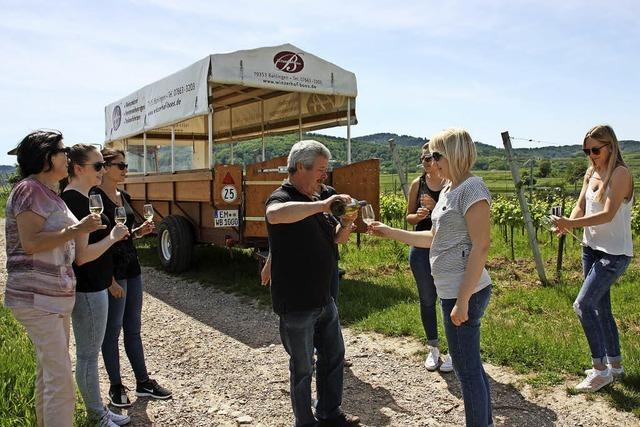 Auf Weinsafari durch den Rebberg