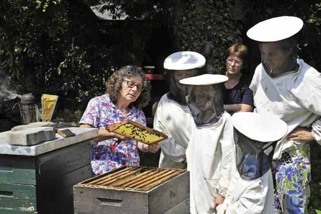 Bienensonntag auf dem Mundenhof