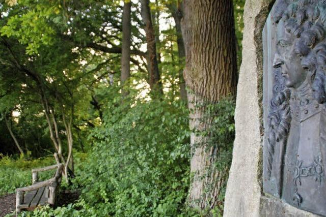 Kferholz am Tllinger in Lrrach: Schlacht ohne Sieger