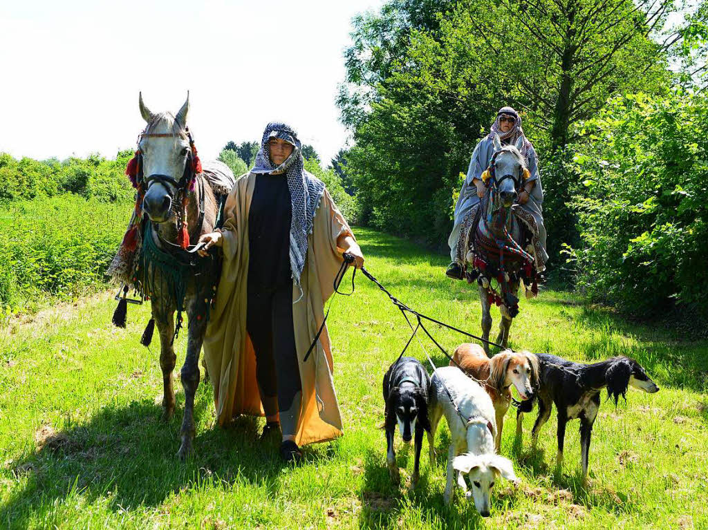 Vorfhrung mit Pferden und Hunden beim Tag des Hundes