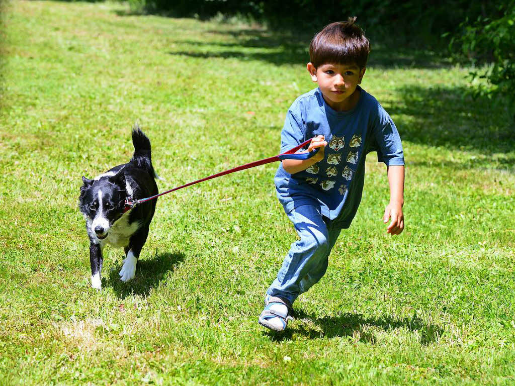 Kind-und-Hund-Olympiade beim Tag des Hundes