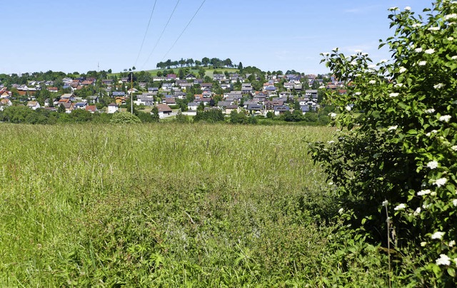 Die Stadtverwaltung Bonndorf steht mit...utzbehrde im Landratsamt in Waldshut.  | Foto: Stefan Limberger-Andris