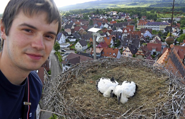 In luftiger Hhe ber Gottenheim hat  ...Jungvogel (links) eine Maus serviert.   | Foto: horst david