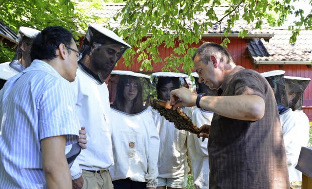 Gut behtet knnen die Bienentagbesuch...artin Homburgers  Erklrungen folgen.   | Foto: Rita Eggstein