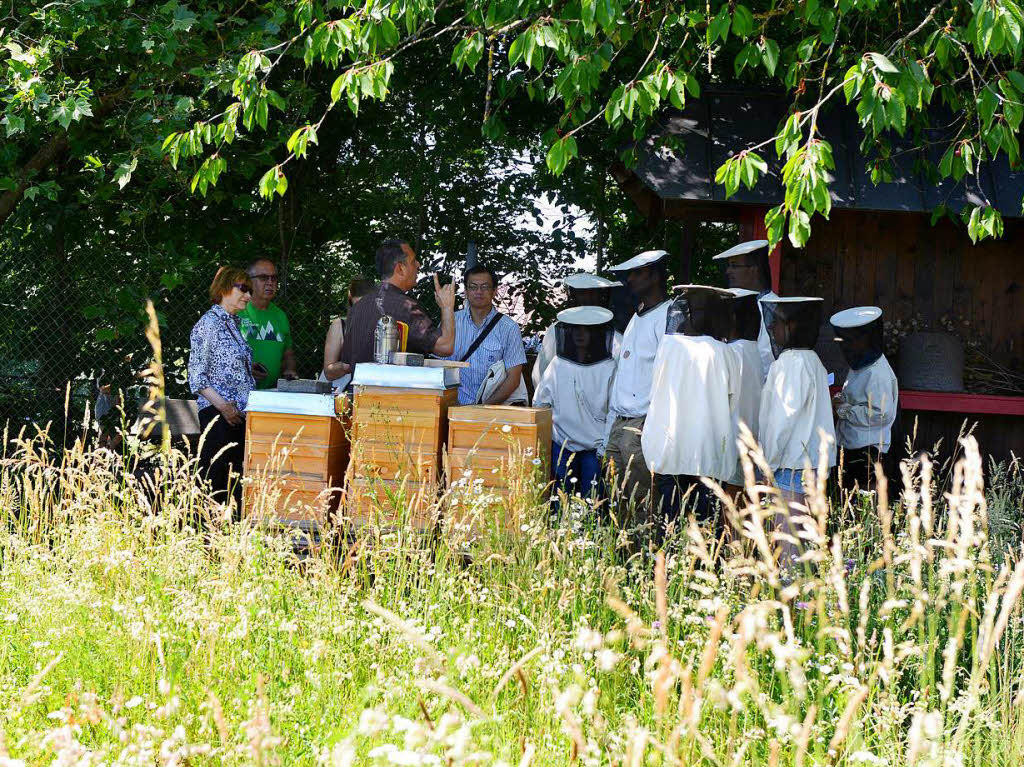 Fhrung im Bienenhaus am Mundenhof