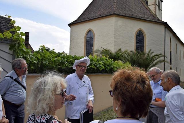 Bckertour, durch dei Rebberge und Blankenhorn in Mllheim