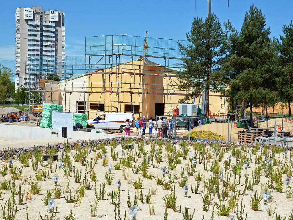 Das Haus am See wird derzeit gebaut.