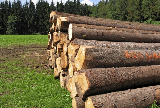 Der Borkenkfer ist wieder aktiv: Befa...egen des Verbreiten des Borkenkfers.   | Foto: Archiv-Foto: Landratsamt /Ulrich Spitzmller