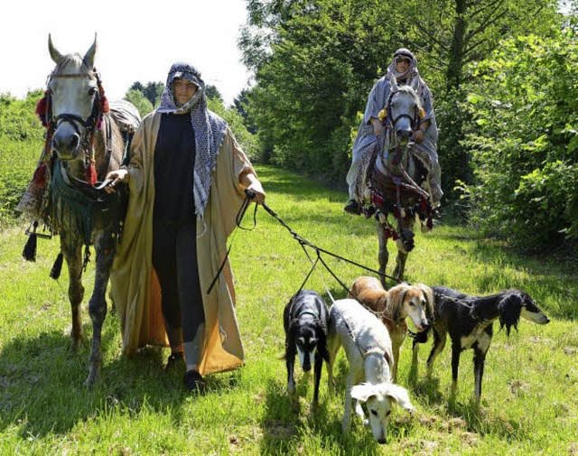 Orientalisches Flair:  Arabische Pferde und  Persische Windhunde  | Foto: Rita Eggstein