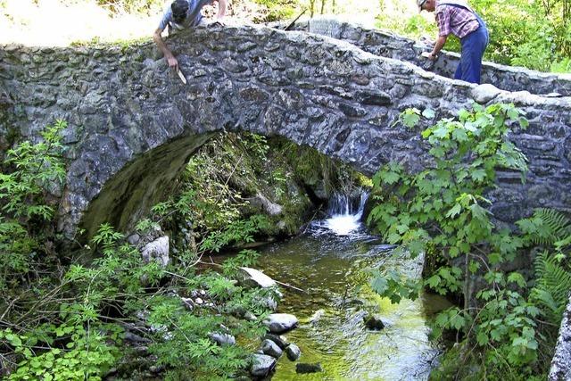 Brckenbau im Ehrenamt