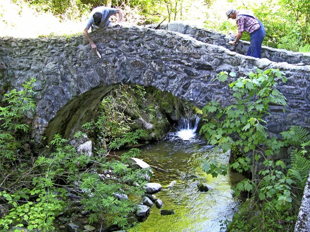 Von meterlangen Efeuranken und dichtem...Ruh die Schelbe-Brcke in Mnstertal.   | Foto: Manfred Lange