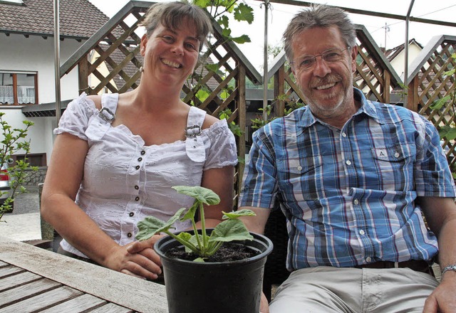 Aus diesem kleinen Setzling wird mal e...groe Krbisschnitzaktion initiieren.   | Foto: Jrn Kerckhoff