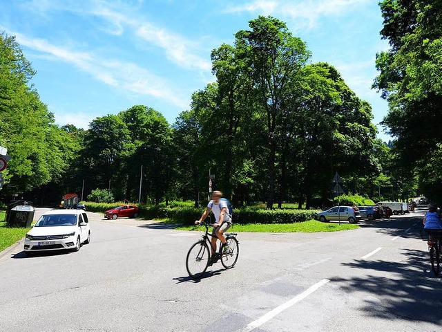 Die Fahrstrae Richtung Waldsee (im Bi...am Park vorbeigefhrt (im Bild links).  | Foto: Rita Eggstein