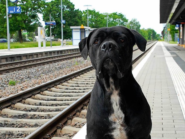 Vom Grenzacher Bahnhof aus hat Nero sich auf groe Fahrt begeben.  | Foto: Leony Stabla