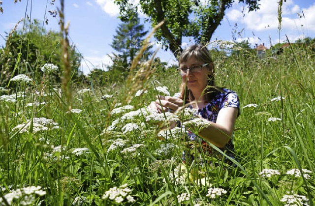 Sandra Fehrenbach, Vorsitzende der Lan...n, die nicht gleich auseinanderfallen.  | Foto: Stefan Limberger-Andris