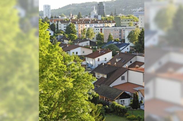 Homburger Wald in Lrrach - Berg mit Geheimnissen