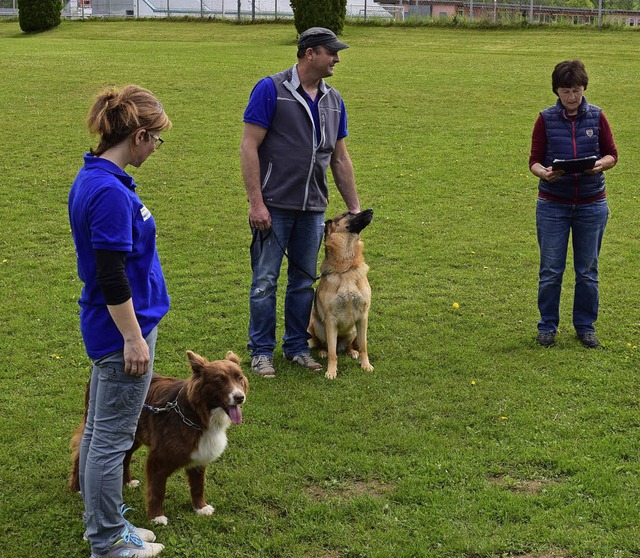 Zehn Hunde legten vor den prfenden Bl...ng ab. Neun Hunde haben sie bestanden.  | Foto: Privat