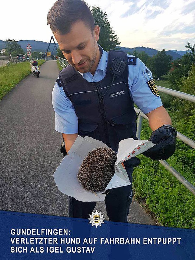 Das postete die Polizei auf ihrer Facebookseite nachdem der Igel gerettet wurde.  | Foto: Polizei 