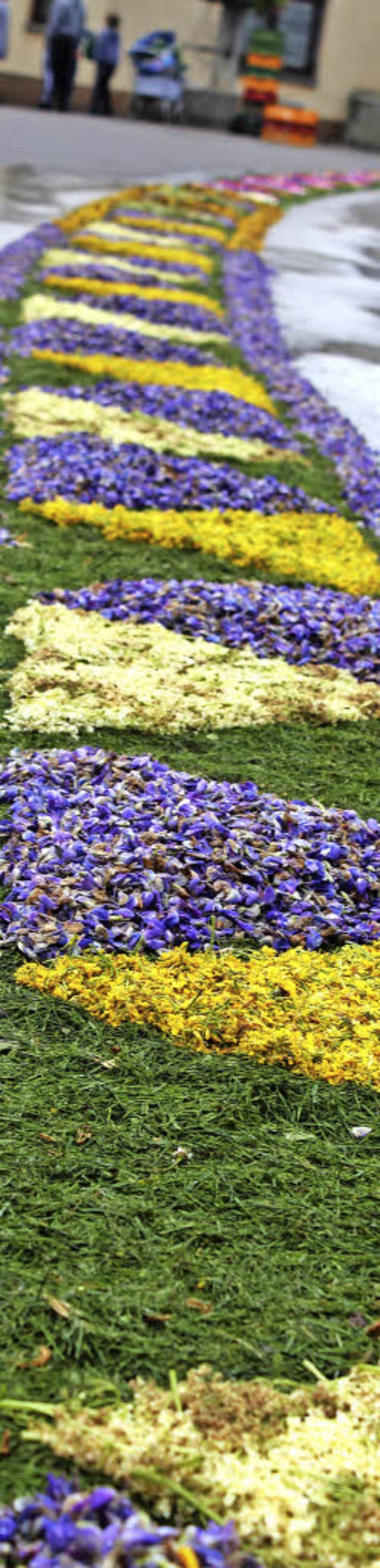 Unadinger Fest: Aus Millionen von Blt...lfer einen farbenfrohen Blumenteppich.  | Foto: Christa Maier