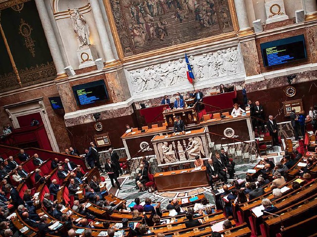 Wird das neue Parlament der Regierung Paroli bieten knnen? (Archivfoto)  | Foto: dpa