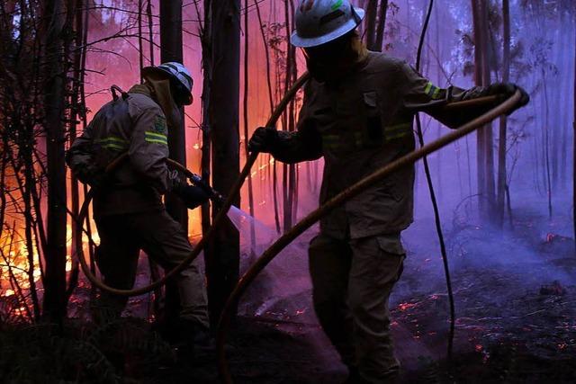 Mehr als 60 Tote bei Waldbrand in Portugal