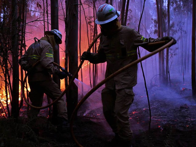 Feuerwehrleute der Republikanischen Na...den verheerenden Waldbrand zu lschen.  | Foto: dpa