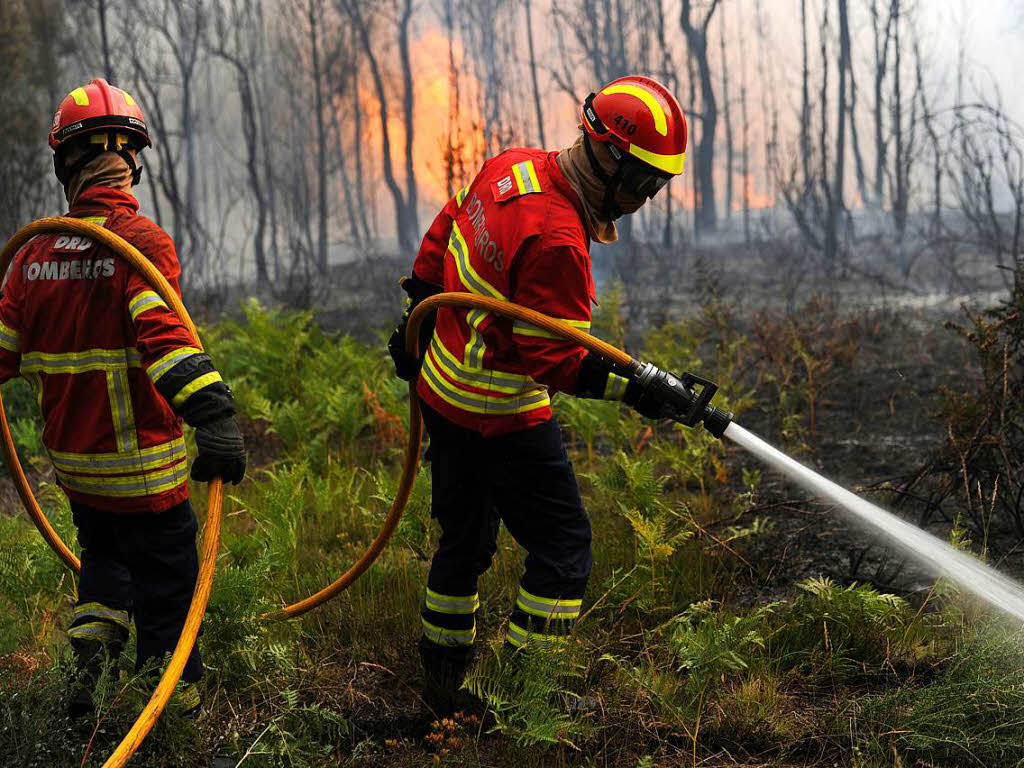 ...und dankte den unermdlich gegen das Inferno kmpfenden Feuerwehrleuten. „Sie verdienen unsere allergrte Hochachtung.“