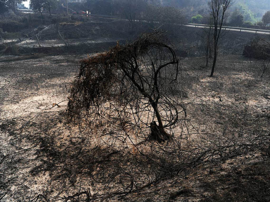 Es ist der Waldbrand mit den meisten Todesopfern in Portugal seit Beginn der Aufzeichnungen.