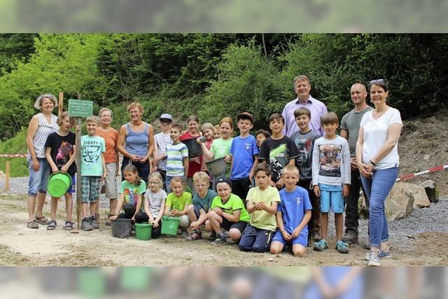 Biotop im Naturschwimmbad gestaltet