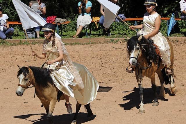 Gute und dunkle Mchte kmpfen um das Einhorn