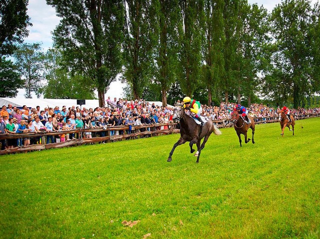 Da lief noch was: Ein Foto vom Pferdrennen in Meienheim   | Foto: Verein