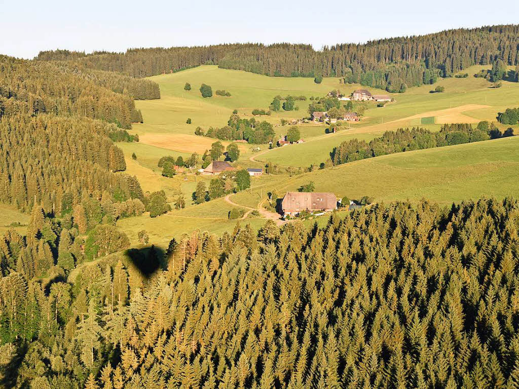 Postkartenidyll so weit das Auge reicht. Der Hochschwarzwald aus Adlerperspektive.