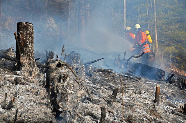 Bei St. Blasien lste eine weggeworfene Kippe im Jahr 2012 einen Waldbrand aus.  | Foto: Sebastian Barthmes