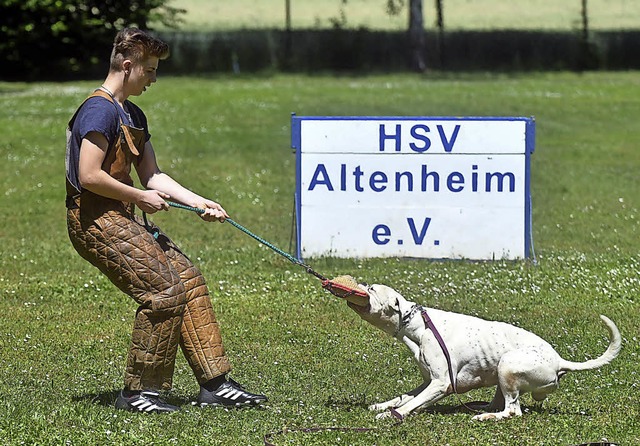 Gib her! Eine Vorfhrung beim Jubilum der Hundefreunde Altenheim   | Foto: Wolfgang Knstle