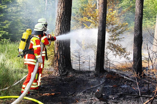 Die Feuerwehren aus Bad Drrheim und H...bsichtlich gelegten &#8211; Waldbrand.  | Foto: Kamera24