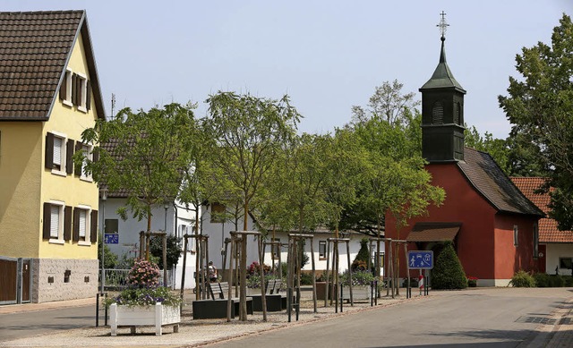 Den Blaseneschen in der Hauptstrae ge...e drre Zweige in den lichten Kronen.   | Foto: Christoph Breithaupt