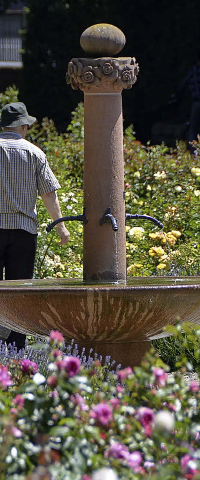 Ein blhendes Kleinod: Der Rosengarten...eder als echtes Kleinod in Offenburg.   | Foto: Seller