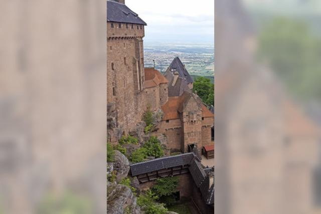 Ritter mit Weitblick