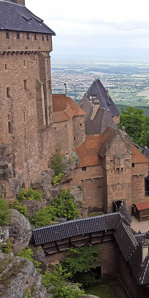 Ritter mit Weitblick Anzeige Badische Zeitung