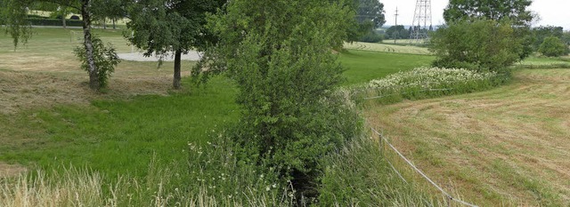 Auf der grnen Wiese neben dem Tannenk...222;Httstall&#8220; angelegt werden.   | Foto: Markus Maier