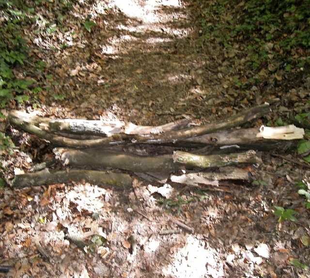 Mit dicken sten blockiert: Wanderweg im Stadtwald.  | Foto: Privat