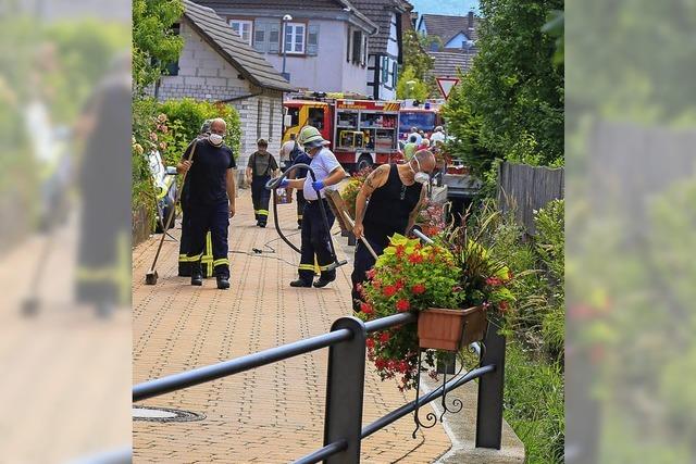 200 tote Fische im Rossbach