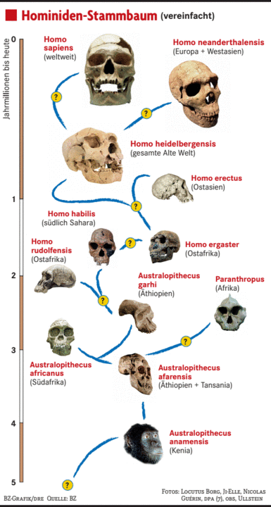 Homo Sapiens Sapiens moderner Mensch