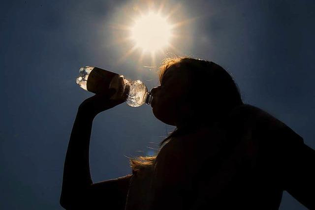 Der Sommer macht seinem Namen auch im Elztal alle Ehre