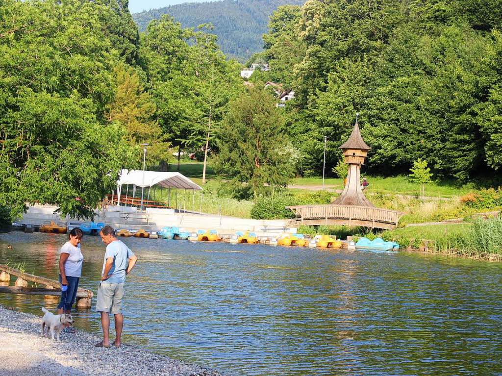 Wasser, Wels und Werkttige – Sommerfreuden und Sommeranstrengungen im Elztal und Umgebung.