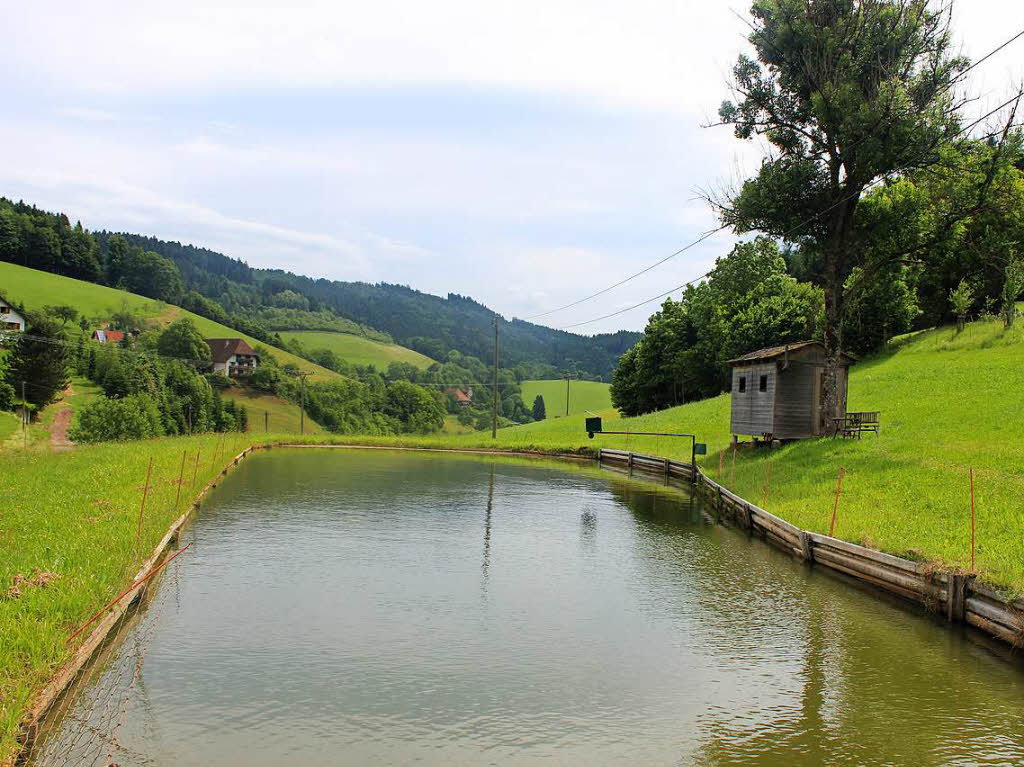 Wasser, Wels und Werkttige – Sommerfreuden und Sommeranstrengungen im Elztal und Umgebung.