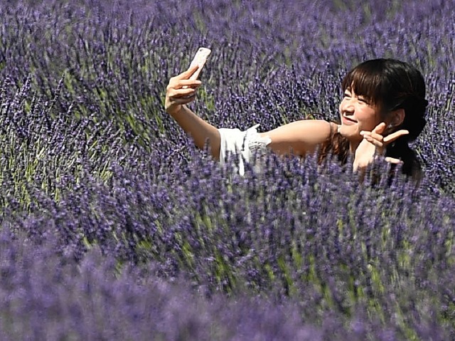 Selfie im Lavendelfeld  | Foto: AFP