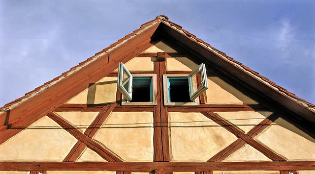 Geschtzt wird Lehm beim Sanieren alte...user, weil er das Holz trocken hlt.   | Foto: dpa